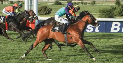  ?? Picture: Wayne Marks ?? LIKEWISE: Pleasedtom­eetyou gets up to win the Listed Sophomore Sprint under jockey Bernard Fayd’Herbe at Kenilworth on Saturday, beating Elusive Trader into second place.