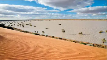  ?? CREDIT: JAMI TARRIS / GETTY IMAGES ?? Deserts could receive more rain due to climate change, which could lead to flooding.