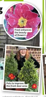  ??  ?? Frost enhances the beauty of flowers
Pots to improve the front door area