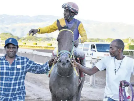  ?? (Photos: Garfield Robinson) ?? Sweet Majesty (Paul Francis) is being led into the winners’ enclosure by connection­s after winning the Allan E “Billy” Williams Memorial Trophy feature on Saturday, January 21, 2023.