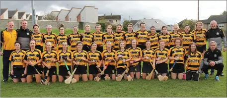  ??  ?? The Rathnure squad prior to Saturday’s county final in Bellefield.