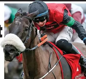  ??  ?? Cheltenham team? Jack Kennedy and Hunters Call GETTY IMAGES