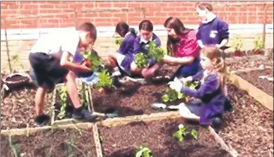  ??  ?? Children at Kennington Academy have received a new gardening area courtesy of local garden centre Bybrook Barn