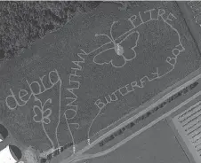  ??  ?? An aerial map of the tribute for Jonathan Pitre at Mountain Orchards.