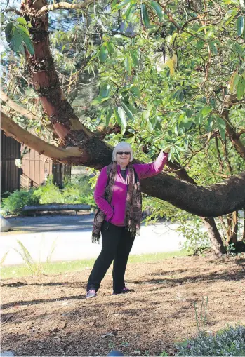  ??  ?? Reader Marie Bruce admires a distinctiv­e Arbutus tree during her visit to Vancouver Island.