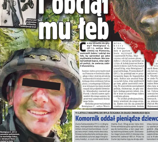  ??  ?? Remigiusz C. (21 l.) wmawiał policjanto­m, że martwego żubra z obciętym łbem znalazł w lesie
Sołtys jest pasjonatem militariów, kolekcjonu­je broń