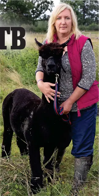  ?? ?? Champion: Geronimo, with his owner Helen Macdonald, was worth £1 k