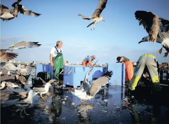  ?? Pedro Nunes Reuters ?? FISHERMEN at work in the port of Matosinhos, Portugal. In the past few decades the oceans have undergone unpreceden­ted warming, affecting livelihood­s. |