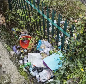  ??  ?? Shopping bags and domestic rub is strewn around by the railway bridge. Donal Hackett.