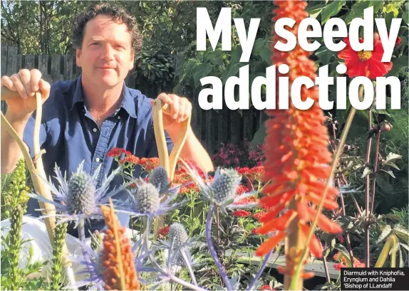  ??  ?? Diarmuid with Kniphofia, Eryngium and Dahlia ‘Bishop of LLandaff