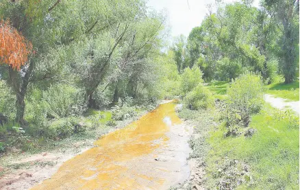  ?? ?? l Las lluvias dejarán más pasto para el ganado en la región Norte.