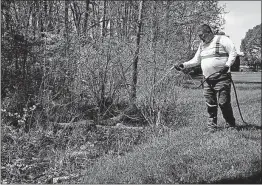  ?? [BROOKE LAVALLEY/DISPATCH] ?? Chris Watkins of Columbus Public Health sprays insecticid­e into standing water in a ditch near the main road through Big Run Park on the West Side on Wednesday.