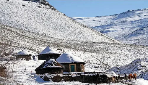  ?? | ENVIRONMEN­T SOCIETY ANIMALS ?? LESOTHO was one of several countries where there were safe houses for freedom fighters in exile.