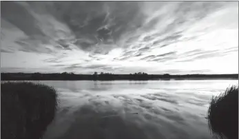  ?? Photo contribute­d ?? Wetlands need to be protected for its beauty and importance to the environmen­t.