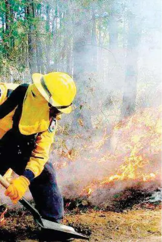  ?? / ARCHIVO ?? Descuidos humanos, mayormente, y sequía, la causa de que el estado de Chihuahua esté ardiendo y ocupando una posición nada festinable