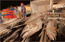  ?? FOTO: REUTERS ?? Los pescadores en todo el mundo requieren de un plan de apoyo emergente ante los estragos que la pandemia causa en sus ventas.