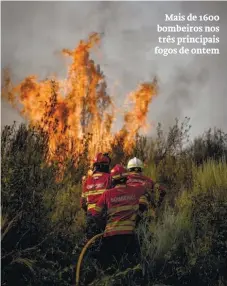  ?? ?? Mais de 1600 bombeiros nos
três principais fogos de ontem