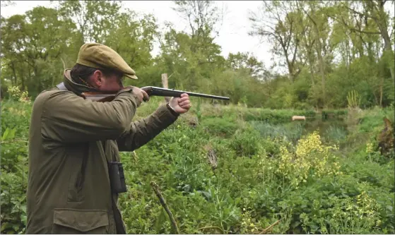  ??  ?? The writer enjoying a spring outing with his renovated Purdey, which performed to perfection