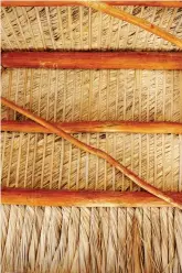  ??  ?? The ropelike fibers of a thatched roof are made from the fronds of the sabal palm.