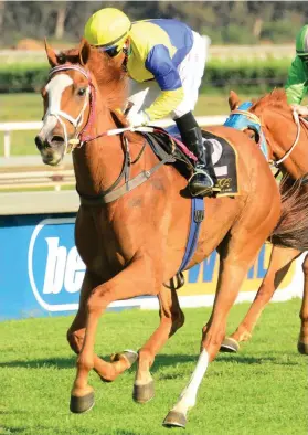  ?? Picture: JC Photograph­ics ?? CHESTNUT. Goede Hoop has blossomed since being raced over longer distances and is a potential banker when she tackles 2400m in Race 6 at the Vaal tomorrow.