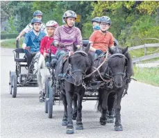  ?? FOTO: DANIELA BITTNER ?? Andrea Esdar hatte ihre Shettys Momo und Filou angespannt und die Kinder auf eine Spazierfah­rt mitgenomme­n. Dahinter zum Teil verdeckt Dominik Esdar mit der Shettystut­e Missy.