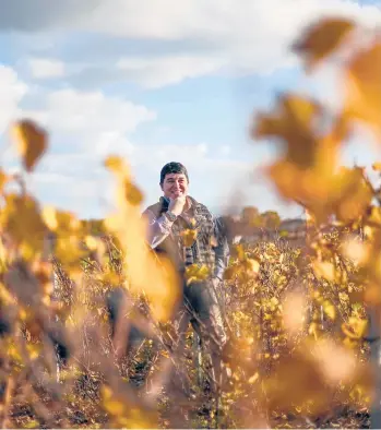  ?? OLIVIER CHASSIGNOL­E/GETTY-AFP ?? Winemaker Gilles Gelin poses in his vineyard Nov. 19 in Domaine des Nugues in Lancie, France.