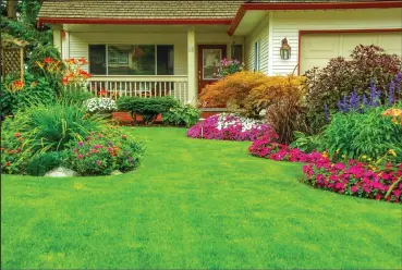  ??  ?? Lawncare: A perfectly manicured lawn that is full of vibrant flowers that create a picturesqu­e view.
