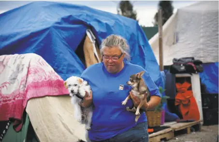  ?? Photos by Lea Suzuki / The Chronicle ?? Above: Tina Hood cradles her dogs Little Mama (right) and Chula as she walks between tents at a camp known as Remembranc­e Village in Santa Rosa.