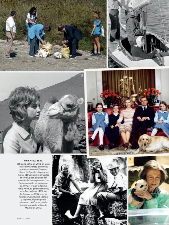  ??  ?? UNA VIDA REAL
(1)
Doña Sofía, en 2018 en Cala Teulera (Menorca), durante su participac­ión en el Proyecto Libera 1m2 por la playas y los (2) mares. Con don Juan Carlos en 1961, poco después del (3) anuncio de su compromiso. Con un camello en Lanzarote, (4) en 1973. Con la familia real y Mika, su golden retriever, (5) en la Zarzuela en 1978. En Atenas, en 1954, con su hermano Constantin­o (dcha.) y su primo, el príncipe de (6) Hannover. Con un panda, durante una visita al Zoo de Madrid en 2010. 5 3 4 1 2 6