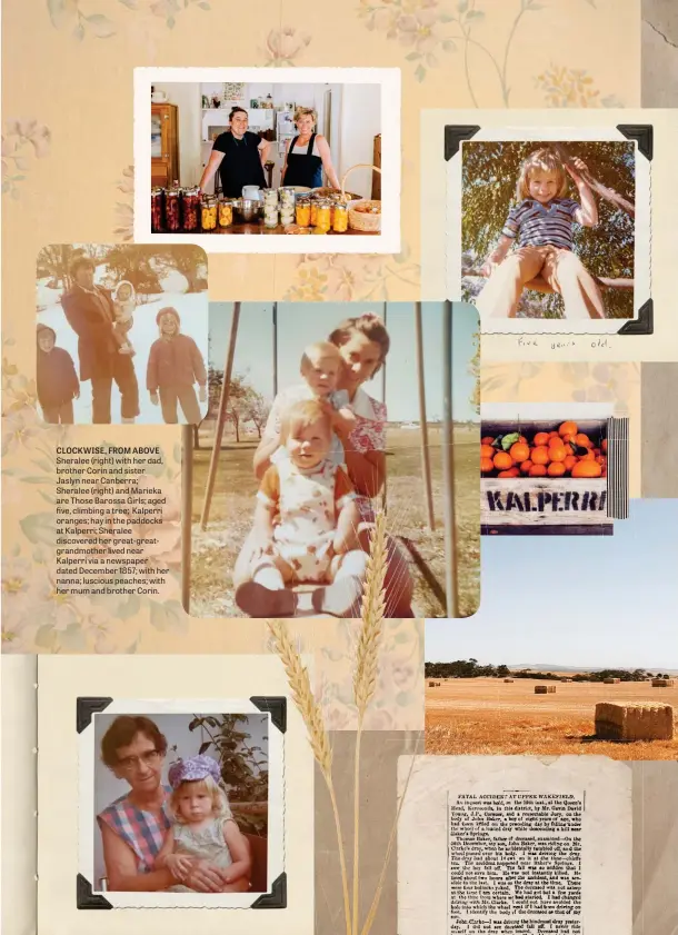  ??  ?? CLOCKWISE, FROM ABOVE Sheralee (right) with her dad, brother Corin and sister Jaslyn near Canberra; Sheralee (right) and Marieka are Those Barossa Girls; aged five, climbing a tree; Kalperri oranges; hay in the paddocks at Kalperri; Sheralee discovered her great-greatgrand­mother lived near Kalperri via a newspaper dated December 1857; with her nanna; luscious peaches; with her mum and brother Corin.