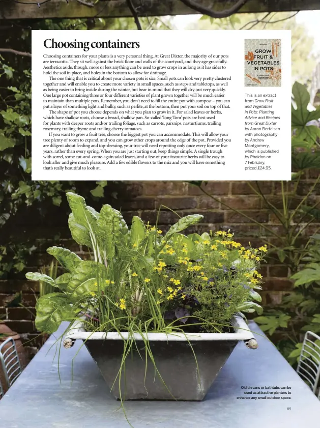  ??  ?? This is an extract from by Aaron Bertelsen with photograph­y by Andrew Montgomery, which is published by Phaidon on 7 February, priced £24.95.
Old tin cans or bathtubs can be used as attractive planters to enhance any small outdoor space.
Grow Fruit and Vegetables in Pots: Planting Advice and Recipes from Great Dixter