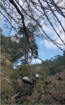  ?? COURTESY OF MARIN COUNTY SHERIFF’S SEARCH AND RESCUE TEAM ?? Members of the Marin County Sheriff’s Search and Rescue Team rescue missing hikers Carol Kiparsky and Ian Irwin from a deep ravine in Inverness on Saturday.