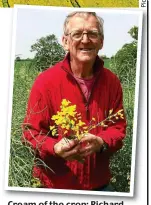  ??  ?? Cream of the crop: Richard Harvey grows oilseed rape