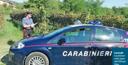  ??  ?? Controlli Carabinier­i nelle vigne dell’Oltrepo (foto Milani). Dopo la sveglia alle 4.30 e il trasporto su furgoni, gli extracomun­itari lavoravano per 12 ore al giorno