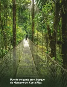  ??  ?? Puente colgante en el bosque de Monteverde, Costa Rica.