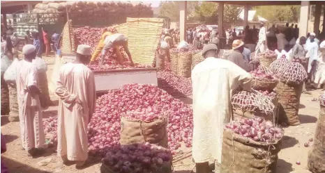  ?? ?? An onion market in Kano