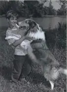  ??  ?? Tommy Retting and Lassie enjoy a happier moment on “Lassie” in 1957.