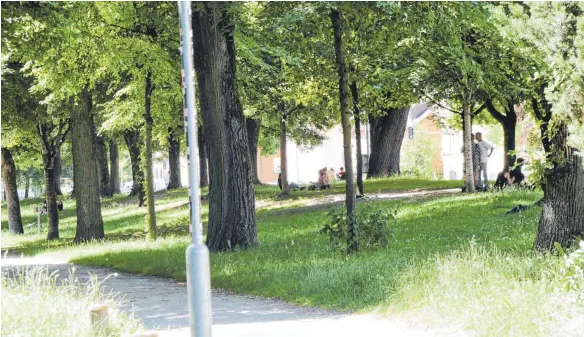  ?? FOTO: STEFAN FUCHS ?? Beliebter Treffpunkt für legale und weniger legale Aktivitäte­n: die Grünanlage an der Ravensburg­er Schussenst­raße.