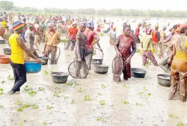  ?? PHOTOS: Abubakar Sadiq Isah ?? Men and women fishing at a pond in Igu -Kotonkarfe