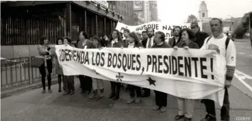  ?? CODEFF ?? Codeff leading a march in 1996 in defense of the Chilean native forest. Codeff liderando en 1996 una marcha por la defensa del bosque nativo chileno.