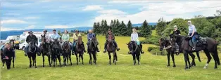  ?? PHOTO: GOT IT IN ONE PHOTOGRAPH­Y ?? Horses who have graduated from Knight Stable Standardbr­ed Rehoming reunite on a trek near Lawrence on Saturday.