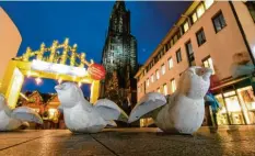  ?? Foto: Felix Kästle, dpa ?? So sehen sie aus, die massiven Betonvögel, die verhindern sollen, dass ein Lastwagen in den Ulmer Weihnachts­markt rast.
