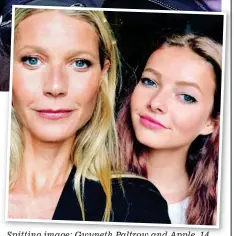  ??  ?? Spitting image: Gwyneth Paltrow and Apple, 14