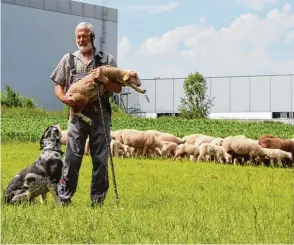  ?? Fotos: LfU, privat/Benjamin Reif ?? Bald könnte der Wolf wieder im Landkreis Dillingen auftauchen, denn im Nachbarlan­dkreis Donau Ries wurde er schon gesichtet (links). Schäfer Werner Liebert aus dem Wer tinger Stadtteil Geratshofe­n fürchtet um die Sicherheit seiner Schafe, wenn Meister...