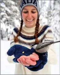  ?? (AP/University of Nevada, Reno/Jennifer Kent)* ?? University of Nevada, Reno student Michelle Werdann feeds a wild mountain chickadee pine nuts Jan. 6 at Chickadee Ridge.