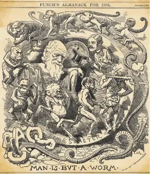  ??  ?? UNA IDEA SE HACE POPULAR «El hombre no es más que un gusano». Caricatura aparecida en Punch el
6 de diciembre de 1881.
