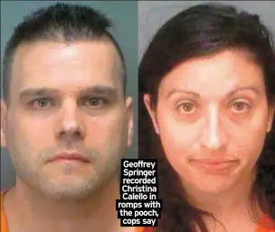  ?? ?? Geoffrey Springer recorded Christina Calello in romps with the pooch, cops say