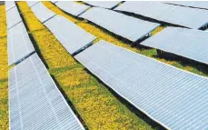  ?? FOTO: NICOLAS ARMER/DPA ?? Der Gutenstein­er Ortschafts­rat stimmt für eine Freifläche­n-Photovolta­ikanlage auf acht Hektar.