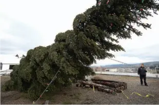  ?? CITIZEN FILE PHOTO ?? Butch Doherty, maintenanc­e manager at the Coast Inn of the North, oversees the raising of the Salvation Army Tree of Lights on the roof of the downtown hotel in November 2015.