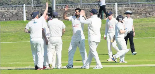  ??  ?? Widnes players celebrate a wicket taken by Qamar Hafiz but the team lost out Macclesfie­ld last Saturday.